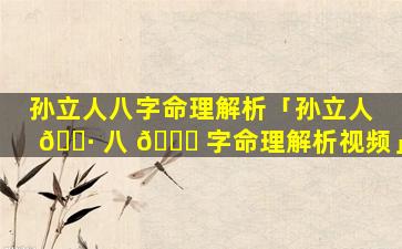 孙立人八字命理解析「孙立人 🌷 八 🐕 字命理解析视频」